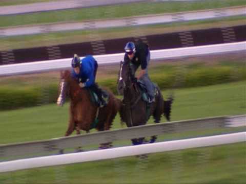 AJC Trackwork
