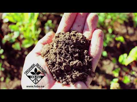 Gör din egen såjord