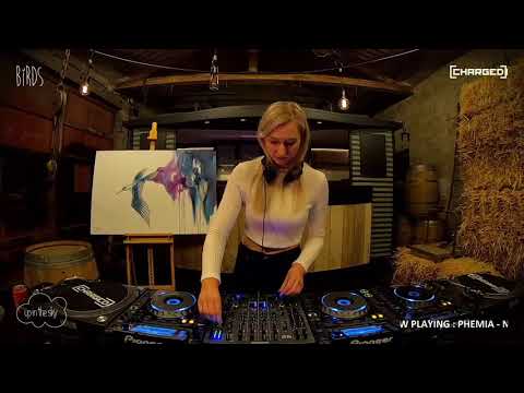 PHEMIA - Barn Sessions #3