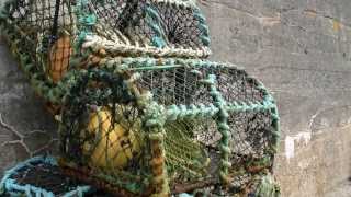 preview picture of video 'Skerray Harbour - Sutherland - Scotland'