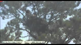 berry eagles march 008 approach cam