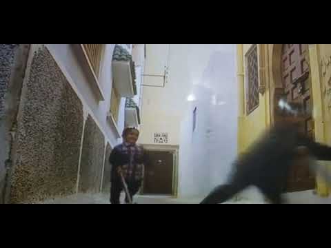 Teletubbies In The ABC Order - Go Karts