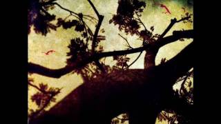 Aeon Spoke - Face The Wind