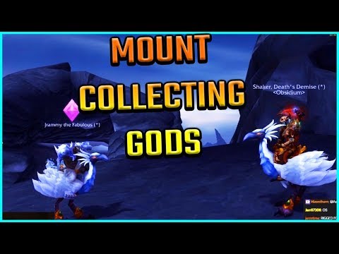 Asmongold Witnesses Two of The Best Mount Collectors In WoW Go Head to Head!