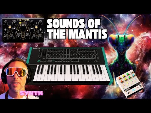 PWM MANTIS SOUNDS ONLY DEMO -- LETS GET LOST IN THE SAUCE | THAT SYNTH SHOW