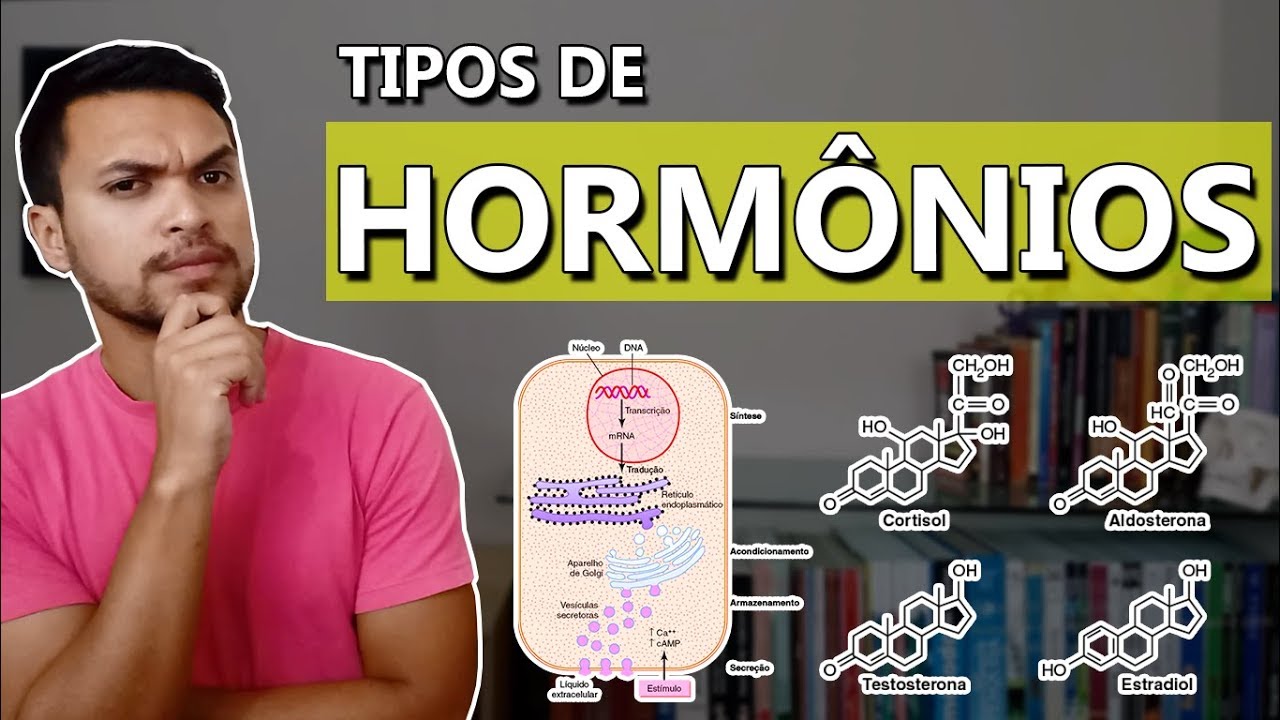 HORMÔNIOS (Esteroides/peptídeos/amino) [Endócrino 02]