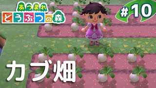 【あつまれどうぶつの森】カブ畑づくり ゆるーく無人島生活part10【ゆっくり実況】