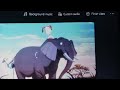 Timon And Pumbaa At The Cinema Wild Thornberrys Movie