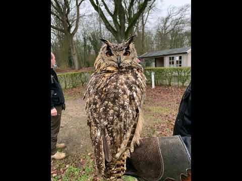 Stil mijn ziel wees Stil opwekking 717