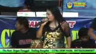 Download lagu CITRA NADA  KECOCOS BELING   MUMUN mp3 Download lagu CITRA NADA  KECOCOS BELING   MUMUN mp3