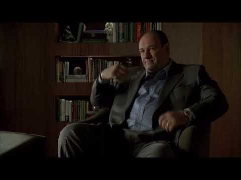 Tony Soprano is an L Word stan