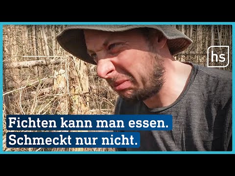 Notnahrung: Bäume essen! Überleben in der Wildnis (4/7) | hessenschau