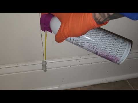 Ants Pouring Out of the Bathroom in Point Pleasant Beach, NJ