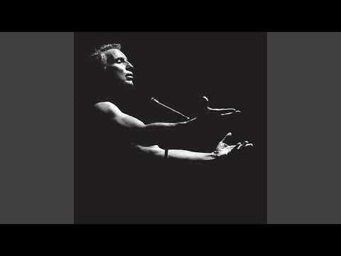 Les Mains D'Or (Live au Grand Rex / 2005)