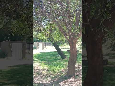 20251123 104453 Las Tapias #turismo #traslasierra