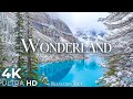 Winter Wonderland 4K Nature Relaxation Film With Peaceful Music 4K Ultra HD