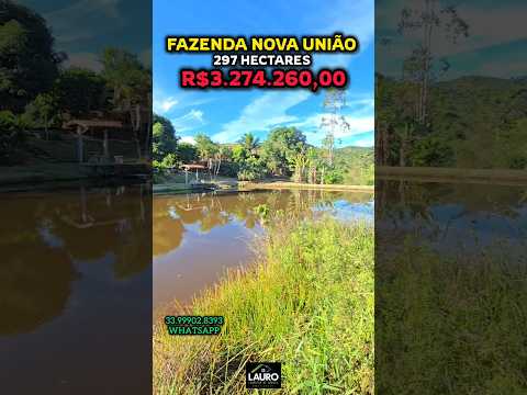 🚨 FAZENDA COM 297 HECTARES E 5 REPRESAS À VENDA EM MG | OPORTUNIDADE NO AGRO 🚨