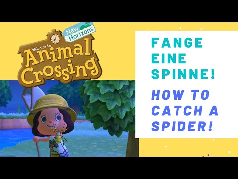 How to catch a spider - Animal Crossing New Horizons