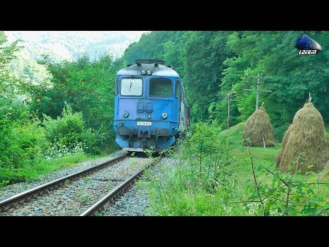 060-DA 60-0808-0 & R4110 Cluj Napoca-Sighetu Marmatiei Langa/Near Salva - 03 August 2017