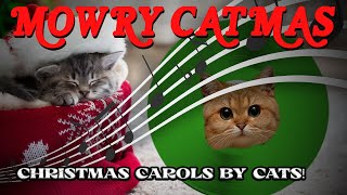 🎄The Meowry Cat-mas 😻 Collection! Cat Christmas Songs