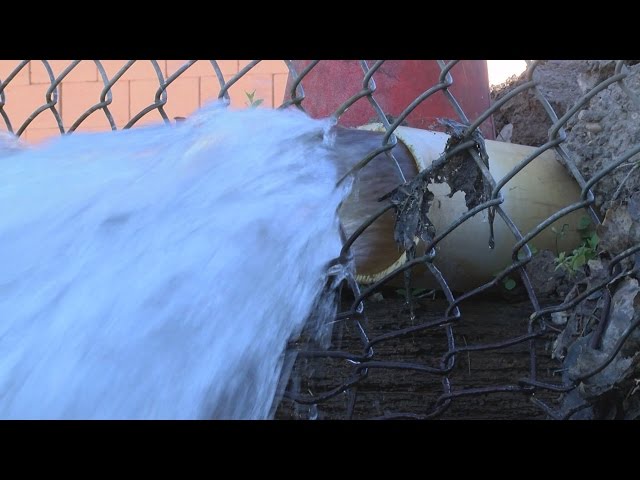 New penguin exhibit construction leaves small pond in nearby neighborhood