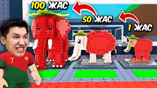 Video thumbnail image