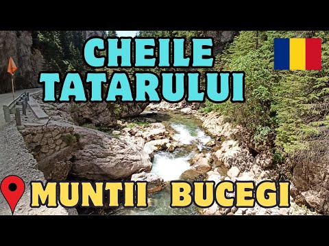 Cheile Tătarului , Un Colț Sălbatic Din Inima Bucegilor #muntiibucegi #cheiletatarului #romania 
