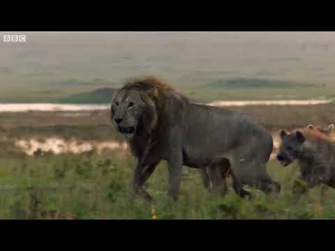 Der Lange feat. Echo Vee - Der Kampf (Video)