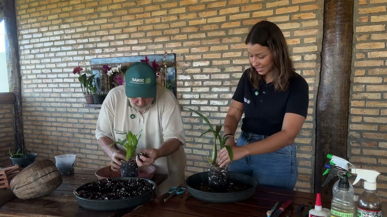 No Trecho com o Senar/MS: Tudo Sobre Orquídeas