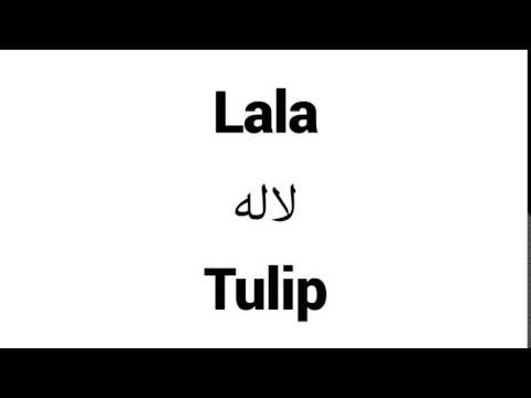 How to Pronounce Lala! - Middle Eastern Names