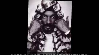 Snoop Dogg - Snoopafella - http://www.Chaylz.com