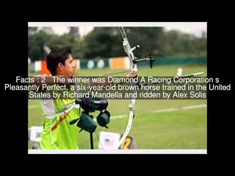 2004 Dubai World Cup Top  #5 Facts