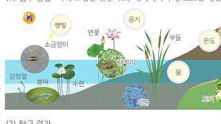 [초등과학 5-2 무료강의] 2. 생물과 환경 ① 생태계란 무엇일까요?