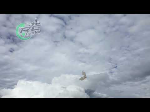 rc-ðam-mê---bn-tân-rc-daklak-và-em-mini-race-wing-ca-bn--test-plane-mini-race-wing
