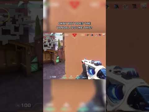 Okay, but can the Vandal do this? (Valorant)