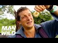 Bear Grylls Wildest Things Eaten Man Vs Wild Discovery