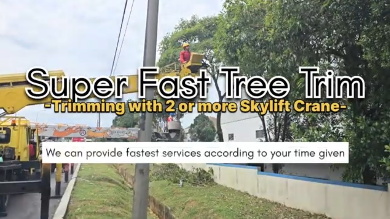 Tree Pruning, Trimming & Remove for Unable to Access Area at Johor Bahru.