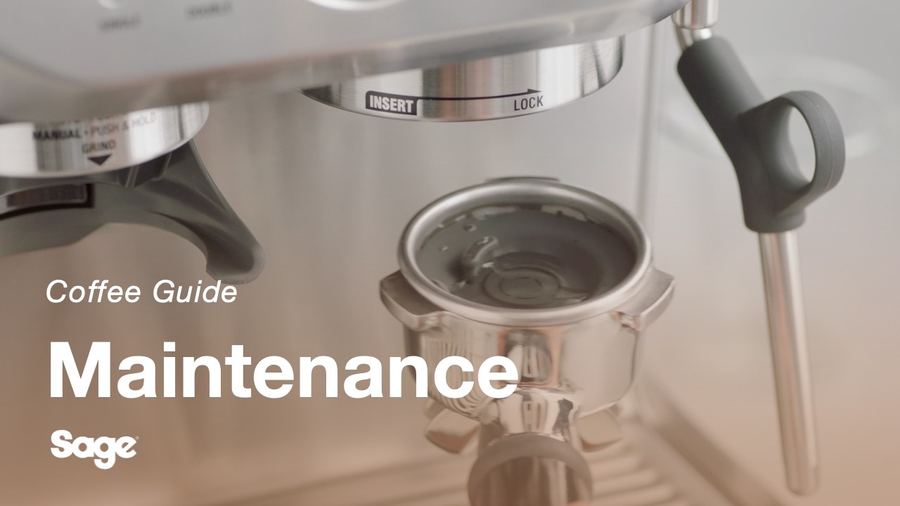 How to perform a cleaning cycle