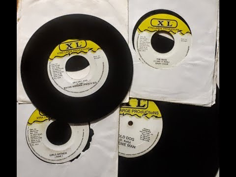 Beanie Man, Old Dog Rhythm Mix Feat Babycham Alley Cat Wayne Wonder Frisco Kid