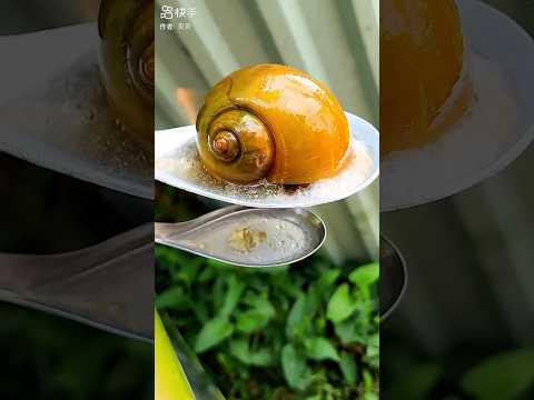 How to make grilled snails right on the banana tree #delicious #food #grilled #snail