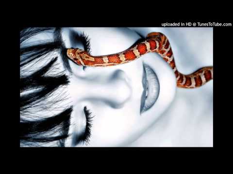 Today's Tango Is... Viborita - Roberto Firpo 02-10-1930