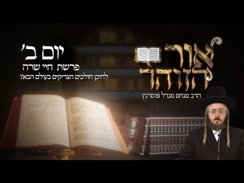 הזוהר היומי - יום ב' פרשת חיי שרה תשפ"ד