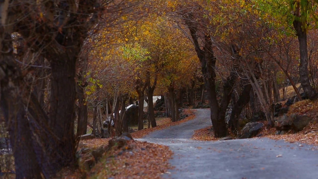 Explore Kargil