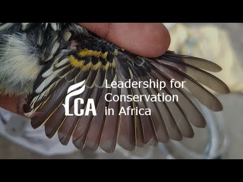 Citizen Science, the smart way to Biodiversity Conservation