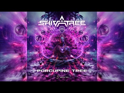 Shivatree - Porcupine Tree (Original Mix)
