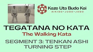 3. Tenkan Ashi