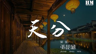 張韶涵 - 天分『眼角微溼的  淚痕』【動態歌詞Lyrics】