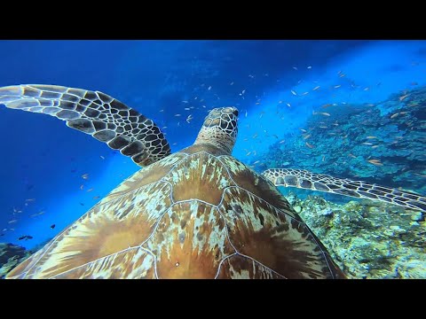 多良間島PV