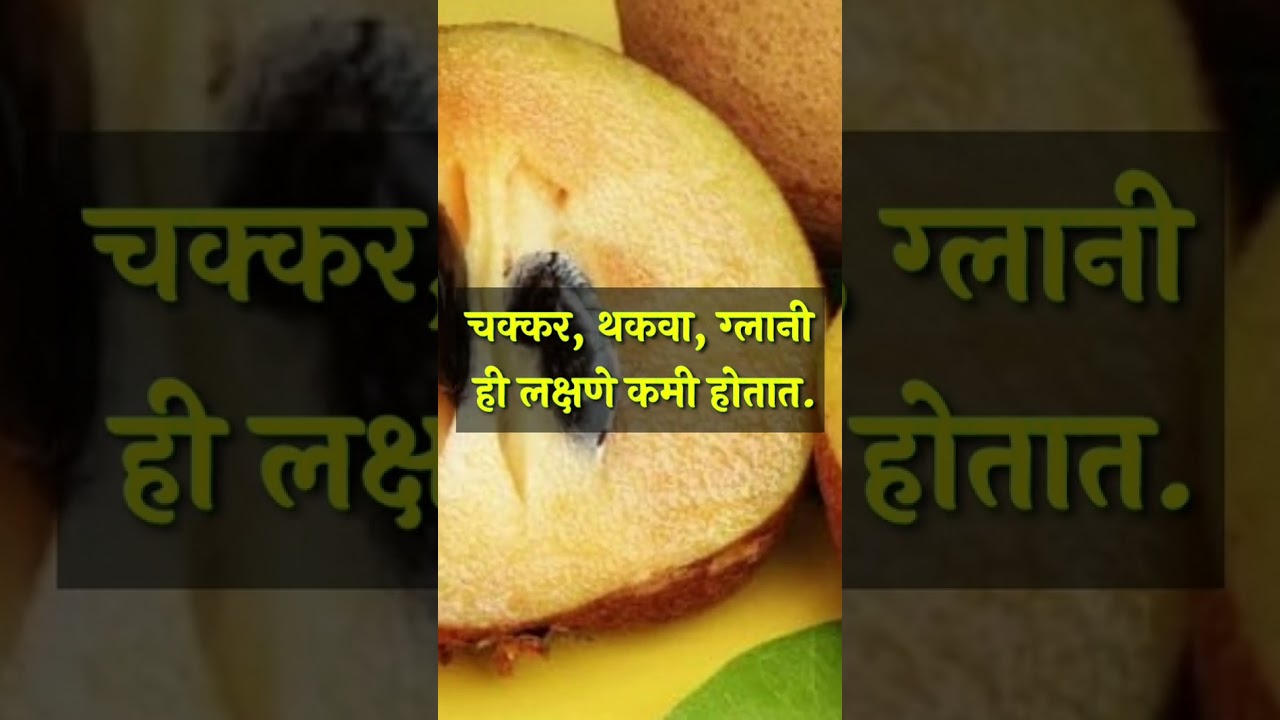 Chikoo fruit information in marathi | चिकू फळाची माहिती