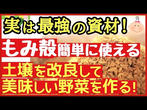 庭なし家庭菜園ポコずチャンネル様【もみ殻の基本】絶対に使いたくなる籾殻の上手な使い方♪無料で手に入る最強の土壌改良資材～初心者・家庭菜園～
